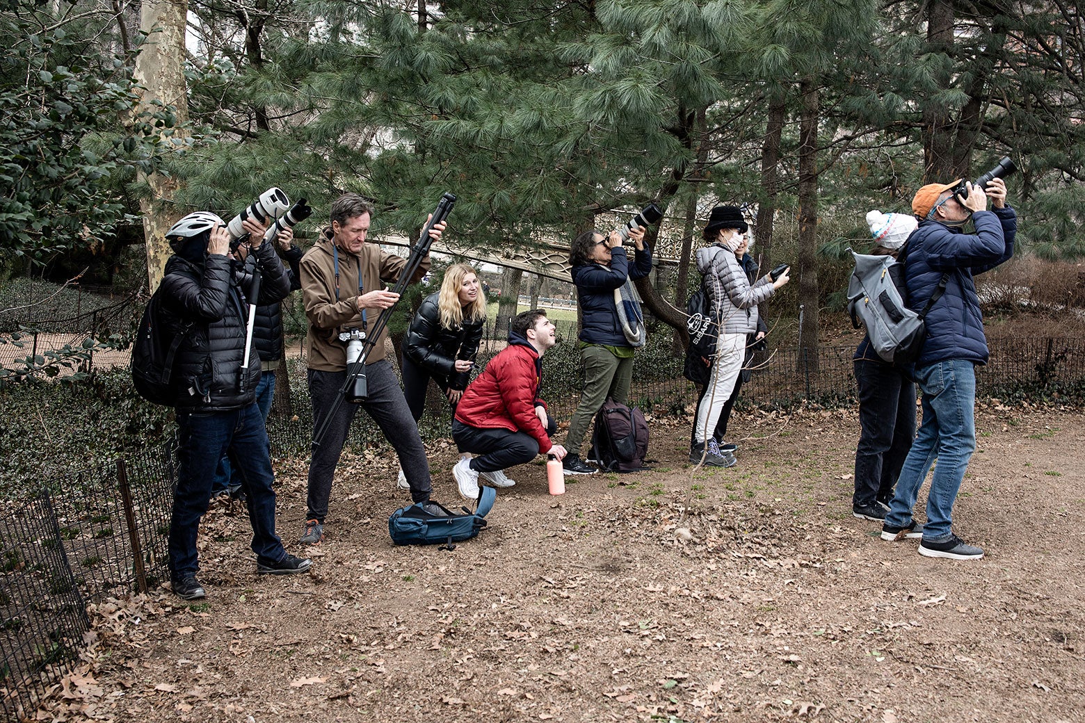 Un montón de gente en una zona boscosa con equipo de cámara. 
