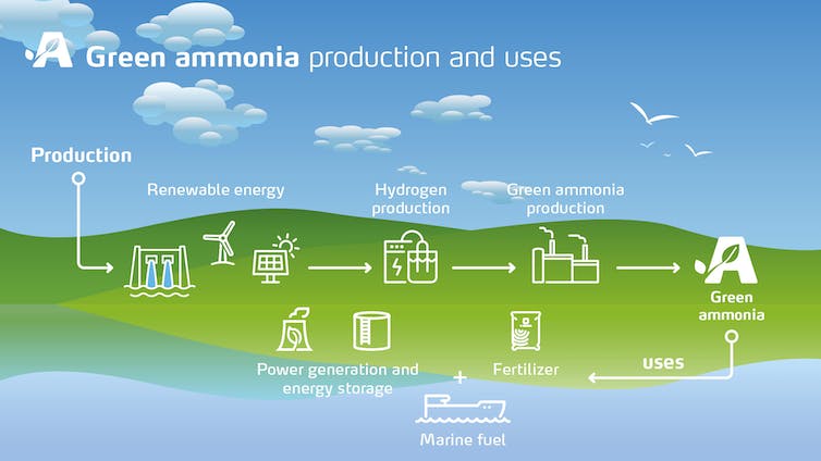 gráfico que muestra la producción y los usos del amoníaco verde