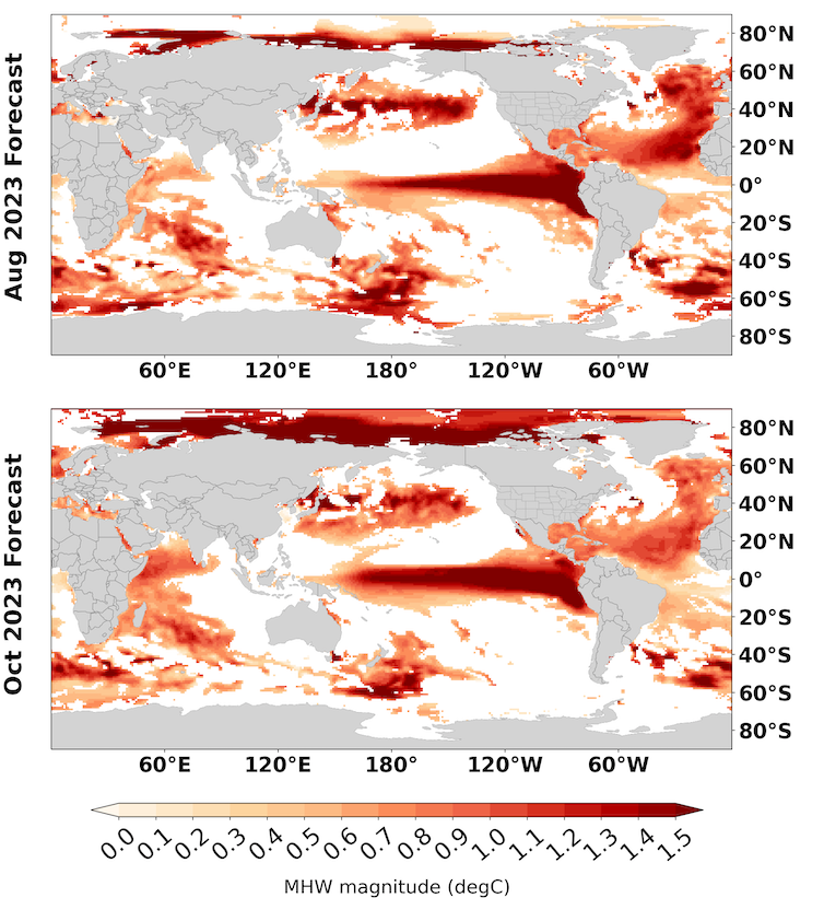 Dos mapas muestran grandes áreas de calor por encima del promedio, particularmente a lo largo del ecuador en el Pacífico, que es un indicador de El Niño, y en gran parte del Atlántico.