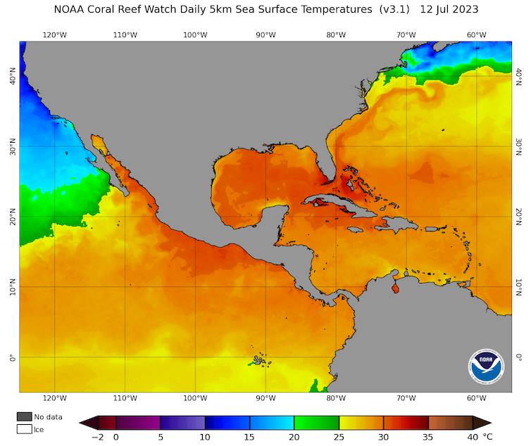 Un mapa muestra las temperaturas cálidas del océano en una gran parte del Atlántico y el Pacífico alrededor de América del Norte.