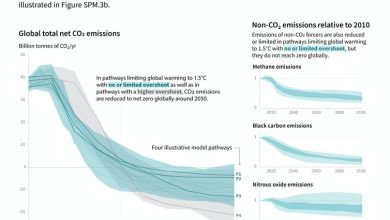 El gráfico muestra las diferentes formas en que es probable que las emisiones alcancen su punto máximo y disminuyan alrededor de 2025.