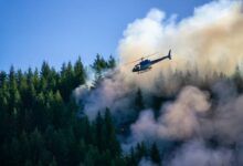 Un helicóptero sobrevuela un pinar en llamas bajo un cielo azul.