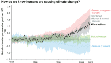Gráfico de líneas que muestra el impacto de diferentes fuentes de calentamiento a lo largo del tiempo. Solo las emisiones antropogénicas siguen la misma trayectoria que el aumento real de la temperatura.
