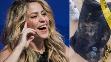 Shakira y bolso Wikicommons y @shakira Instagram