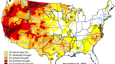 Mapa de condiciones de sequía contiguas en los Estados Unidos al 7 de diciembre de 2021