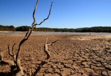 tierra afectada por la sequía
