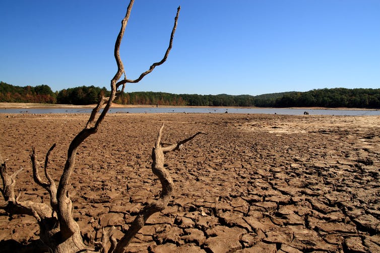 tierra afectada por la sequía