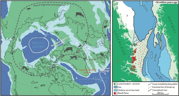 reconstrucción esquemática de la paleogeografía ártica que muestra la migración de la fauna, las regiones volcánicas y la circulación oceánica impedida
