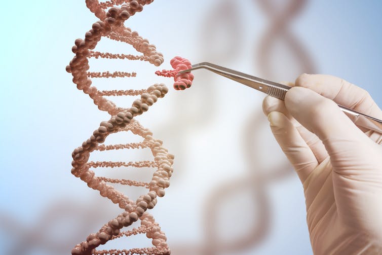 Mano enguantada elimina parte de la cadena de ADN