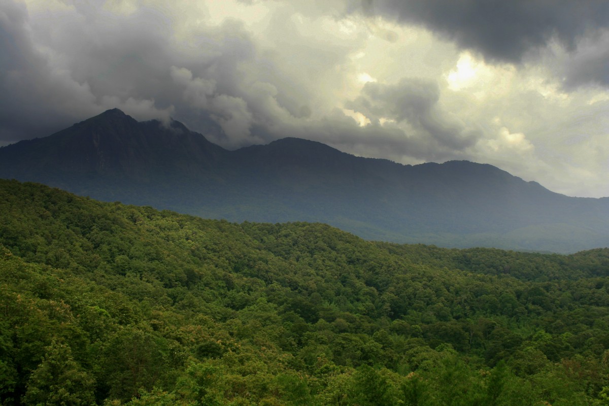 El bosque de Parabikulam en Kerala es parte de los Ghats occidentales.  dotcompals/Flickr, CC 2.0