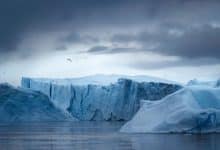 Un iceberg del tamaño de la metrópolis de París amenaza una estación de investigación británica...