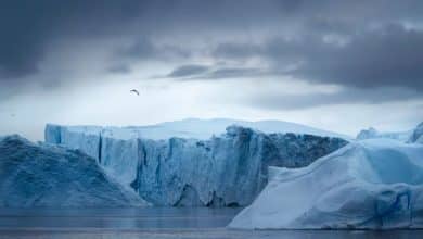 Un iceberg del tamaño de la metrópolis de París amenaza una estación de investigación británica...
