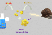 Diagrama que muestra cómo los átomos de oro y la baba de caracol forman nanopartículas