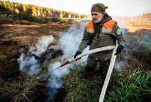 Crecientes zombis ardientes amenazan el gélido bosque boreal