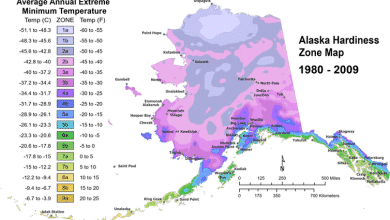 Los mapas muestran cambios en las zonas de rusticidad de las plantas de Alaska de 1980 a 2010