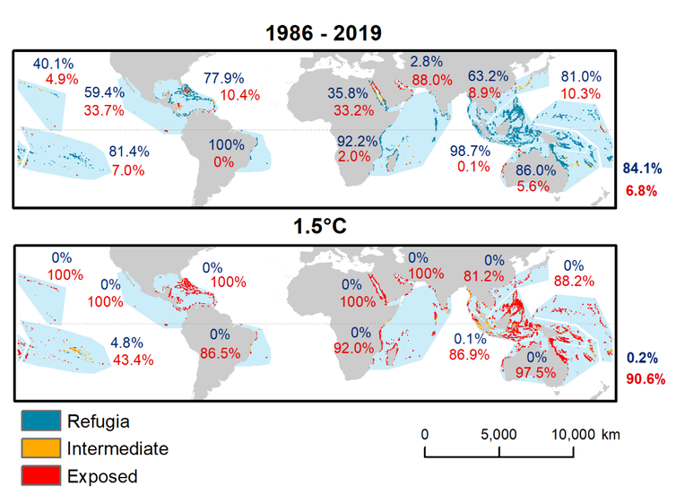 Dos mapas mundiales que comparan los refugios de arrecifes de coral de 1986 a 2019 frente a 1,5 °C.