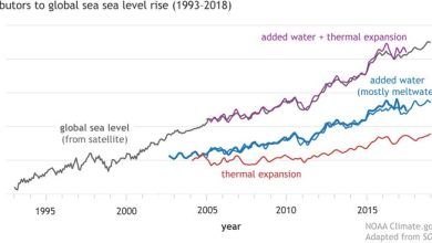 Gráfico de líneas que muestra el aumento del nivel del mar debido a la expansión térmica y el derretimiento