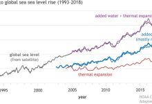 Gráfico de líneas que muestra el aumento del nivel del mar debido a la expansión térmica y el derretimiento
