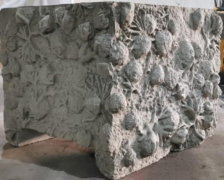 Revestimiento con bloques de hormigón en forma de conchas y corales.