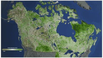 Un mapa de América del Norte que muestra el área verde más septentrional.