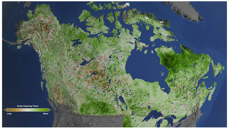 Un mapa de América del Norte que muestra el área verde más septentrional.
