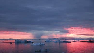 La nieve del Ártico se está convirtiendo en lluvia a medida que aumentan las temperaturas
