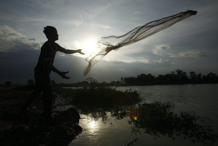 Un hombre arroja una red de pesca a un cuerpo de agua contra el telón de fondo del sol naciente.
