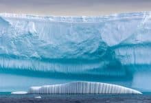Nuevas pistas sobre el misterio climático del océano antártico