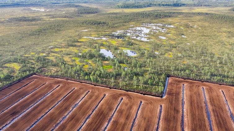 Vista aérea de los humedales, con la minería de turba en primer plano destruyendo un área.