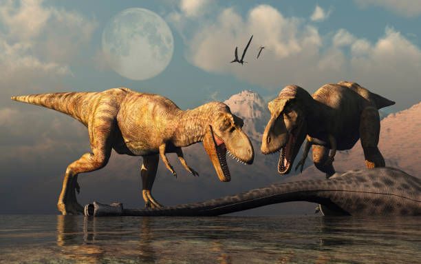 Tyrannosaurus rex era probablemente un animal social (generalmente dado un plumón...