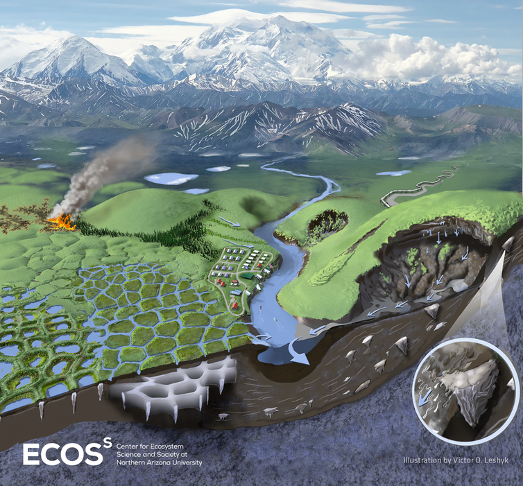 Ilustración de un paisaje de termokarst que muestra permafrost, cuñas de hielo, polígonos, erosión, lagos drenables e incendios
