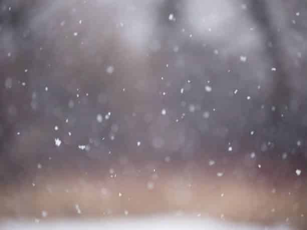 Malas noticias para el medio ambiente debido a la nieve en partes de Francia