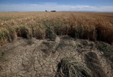 La sequía en el oeste dura más que la tormenta de arena