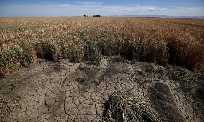 La sequía en el oeste dura más que la tormenta de arena