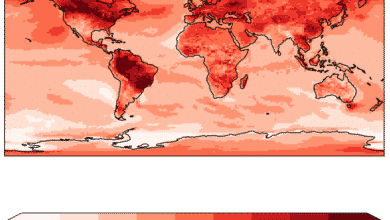Un mapamundi rojo, con áreas más oscuras que indican mayores aumentos de temperatura (hasta 6 °C).