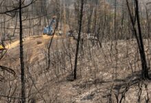 Las altas temperaturas y los incendios forestales amenazan la red eléctrica de California