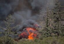 Los incendios forestales extremadamente secos en el oeste de EE. UU. están maduros para