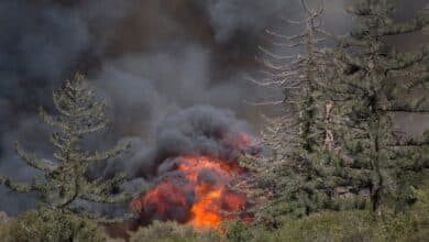 Los incendios forestales extremadamente secos en el oeste de EE. UU. están maduros para