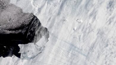 Plataforma de hielo gigante se derrumba más rápido de lo esperado Noticias e investigación