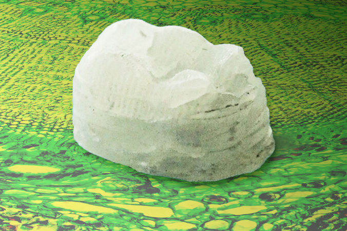 un material blanco verdoso con forma aproximada de diente