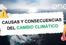 Causas y consecuencias del cambio climático