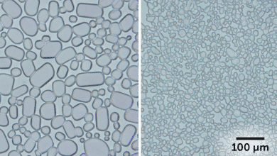 imágenes microscópicas del crecimiento de cristales de hielo grandes en comparación con el crecimiento de cristales de hielo pequeños