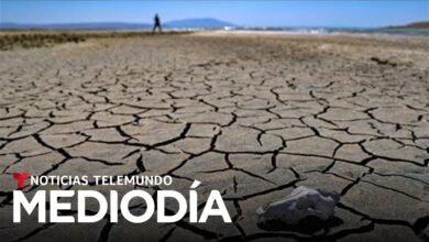 "habrá más sufrimiento"expertos abordan el cambio climático | Noticias Telemundo