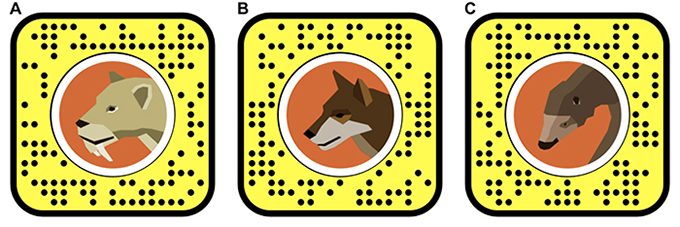 tres códigos de Snapchat para un gato con dientes de sable, un lobo terrible y un perezoso terrestre de Shasta