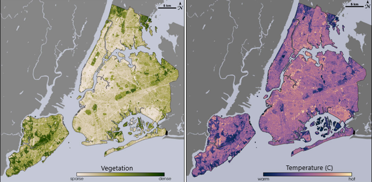 Dos mapas de la ciudad de Nueva York muestran cómo la vegetación coincide con las áreas más frías por temperatura.