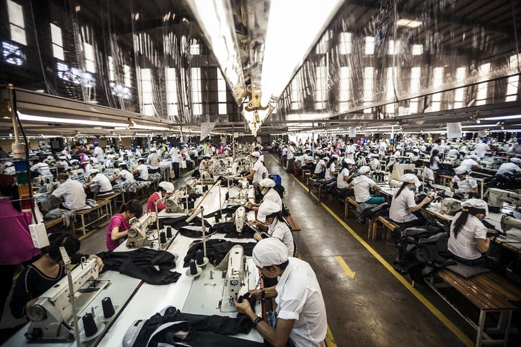 Filas de trabajadores usan máquinas de coser dentro de una sala de fábrica