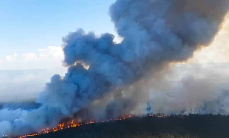La NASA dice que 2020 empató como el año más cálido registrado