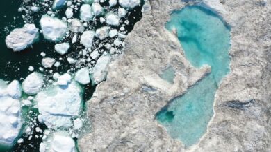 La Tierra ha perdido 28 billones de toneladas de hielo desde mediados de la década de 1990