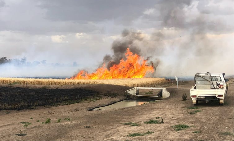 incendio en granja cerca de ute