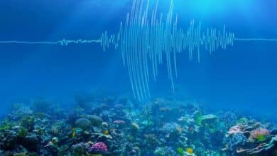 Los terremotos submarinos revelan información sobre el calentamiento del sonido